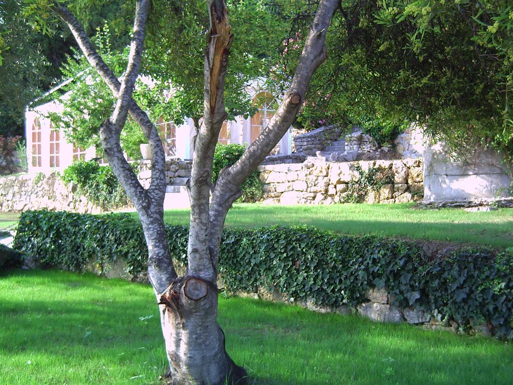 Domaine Du Mont Leuze Villa Villefranche-sur-Mer Dış mekan fotoğraf